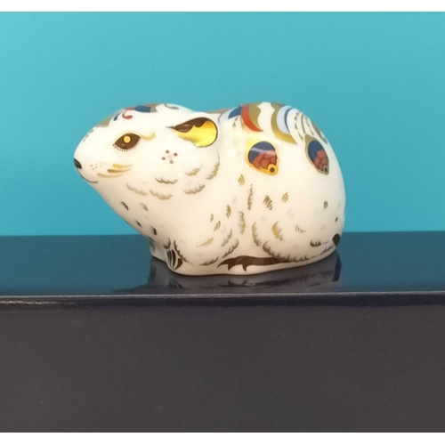 Lot 24        