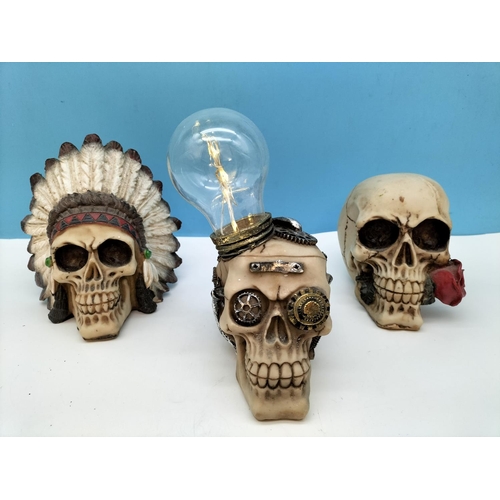 260 - Collection of Mixed Design Skulls to include 'See No, Hear No, Speak No' Skulls. Largest 13cm High, ... 