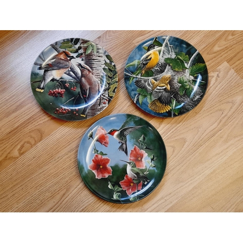 322 - Quantity of Collectors Plates to include Goebel Bird Plates (4), The Forest Year (9), etc.