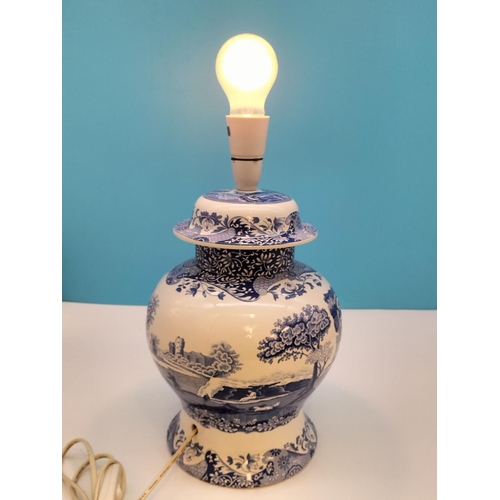 407 - Spode 'Italian Garden' 38cm Lamp. W/O