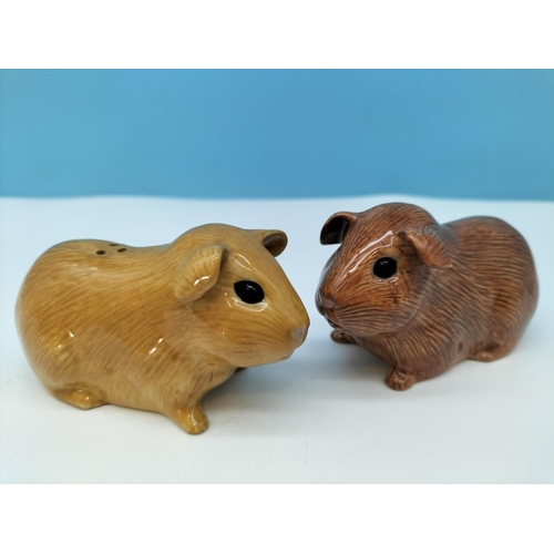 491 - Quail Pottery Guinea Pig Salt and Pepper Pots. 6cm high x 10cm.