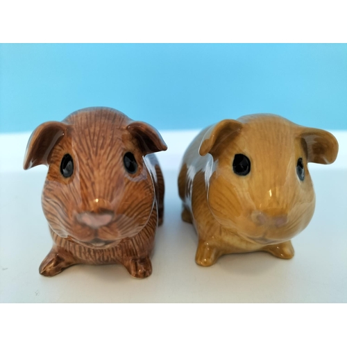 491 - Quail Pottery Guinea Pig Salt and Pepper Pots. 6cm high x 10cm.