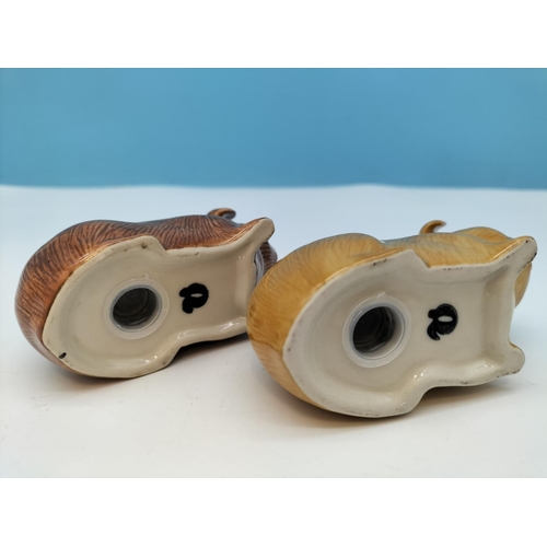 491 - Quail Pottery Guinea Pig Salt and Pepper Pots. 6cm high x 10cm.