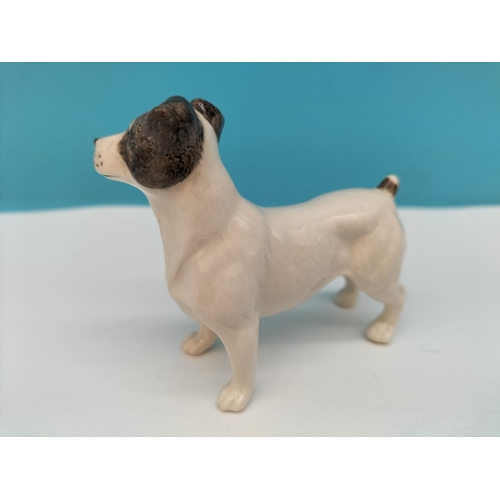 142 - Beswick Figure of a Jack Russell Model 3380. 6.5cm High x 7cm.