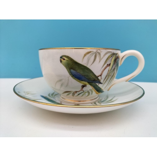 174 - Royal Worcester Hand Painted Cup and Saucer depicting a Blue Winged Grass Parakeet. Pattern W8427. S... 