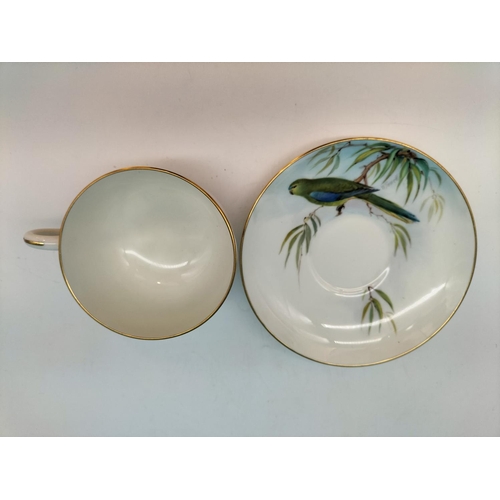 174 - Royal Worcester Hand Painted Cup and Saucer depicting a Blue Winged Grass Parakeet. Pattern W8427. S... 