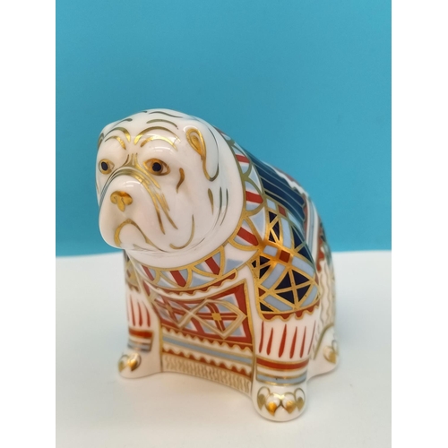 195 - Royal Crown Derby 'Bulldog' 10cm Paperweight with Gold Stopper. Date Mark for 1991 (LIV), Red Royal ... 