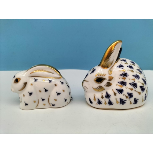 252 - 2 x Royal Crown Derby Paperweights  'Rabbit' with Gold Stopper being One of the Original Six Paperwe... 