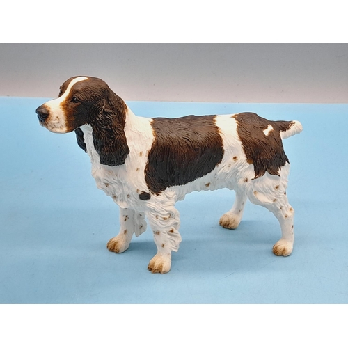 272 - Border Fine Arts Figure of a Standing English Springer Spaniel. 13cm High x 16cm. A1160