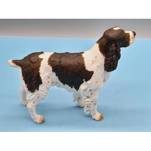 272 - Border Fine Arts Figure of a Standing English Springer Spaniel. 13cm High x 16cm. A1160