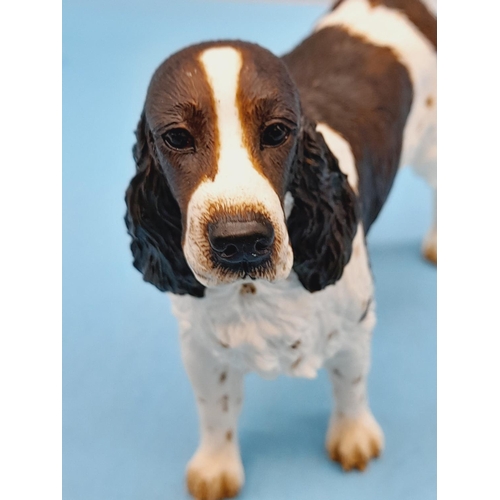 272 - Border Fine Arts Figure of a Standing English Springer Spaniel. 13cm High x 16cm. A1160