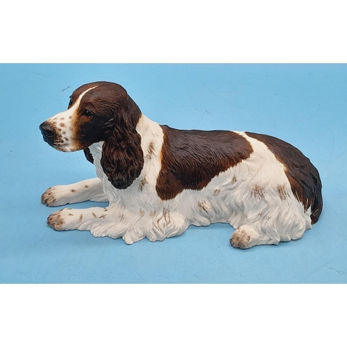 273 - Border Fine Arts Figure of a Lying English Springer Spaniel. 8.5cm High x 15cm.