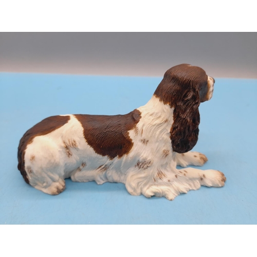 273 - Border Fine Arts Figure of a Lying English Springer Spaniel. 8.5cm High x 15cm.