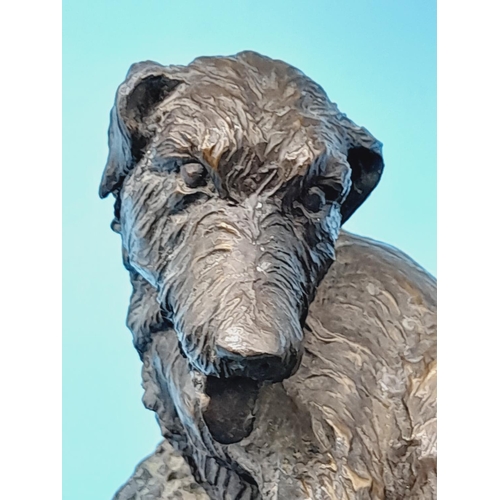 278 - Heredities Cold Cast Bronze Figure of An Irish WolfHound. Signed J Spouse. 9cm High 17cm x 14cm.