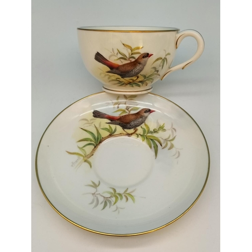 319 - Royal Worcester Hand Painted Cup and Saucer depicting a Fire Tailed Finch signed William Powell. Pat... 