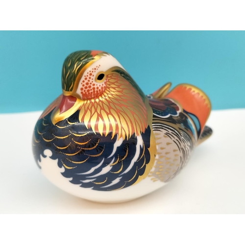 57 - Royal Crown Derby 'Mandarin Duck' 12cm Paperweight with Silver Stopper. Date Code for 1998 (LXI) and... 