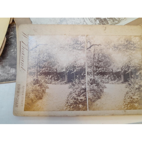 656 - Stereoscope Images (26).