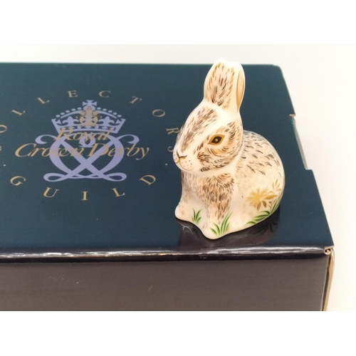 68 - Royal Crown Derby Collectors Guild 'Nibbles the Rabbit' Paperweight (MMXIV 2014) with Gold Stopper a... 