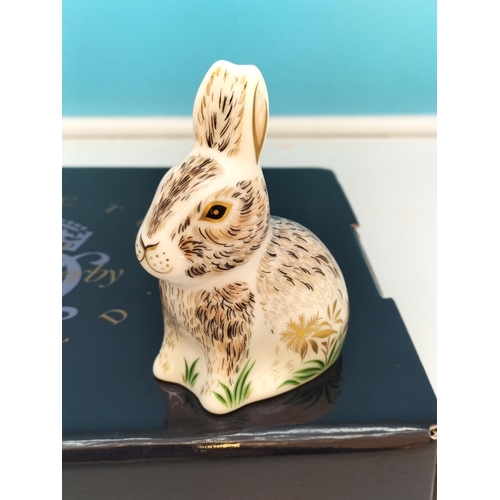 68 - Royal Crown Derby Collectors Guild 'Nibbles the Rabbit' Paperweight (MMXIV 2014) with Gold Stopper a... 