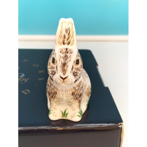 68 - Royal Crown Derby Collectors Guild 'Nibbles the Rabbit' Paperweight (MMXIV 2014) with Gold Stopper a... 