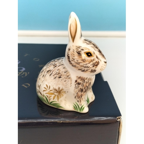 68 - Royal Crown Derby Collectors Guild 'Nibbles the Rabbit' Paperweight (MMXIV 2014) with Gold Stopper a... 