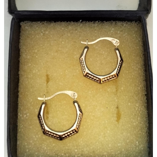 15 - Pair of 9ct Gold Hoop Earrings.