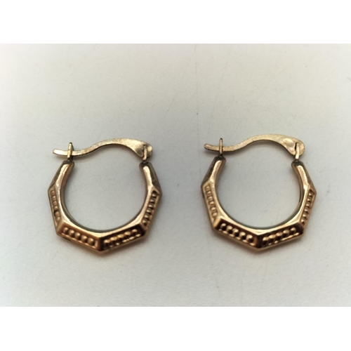 15 - Pair of 9ct Gold Hoop Earrings.