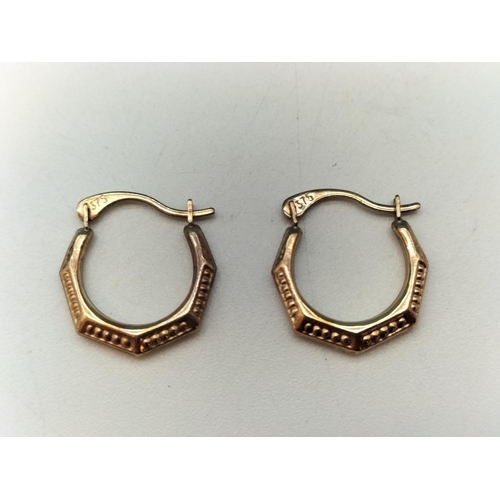 15 - Pair of 9ct Gold Hoop Earrings.