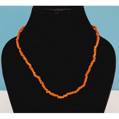 29 - Coral Necklace with 9ct Gold Clasp.