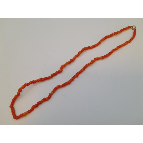 29 - Coral Necklace with 9ct Gold Clasp.