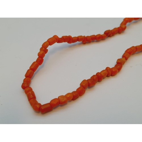 29 - Coral Necklace with 9ct Gold Clasp.