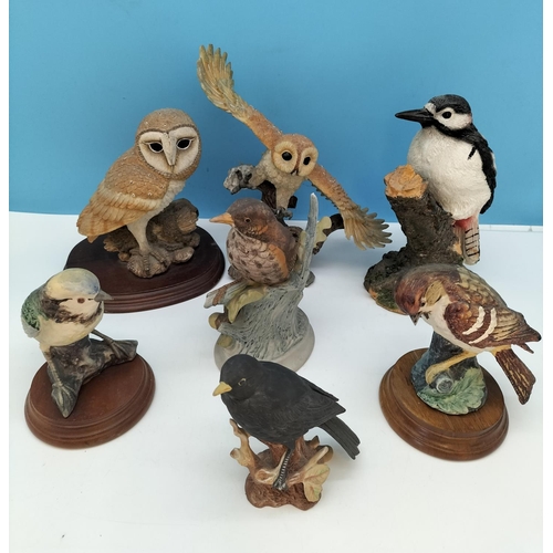 53 - Collection of Mixed Bird Figures. Tallest 22cm.