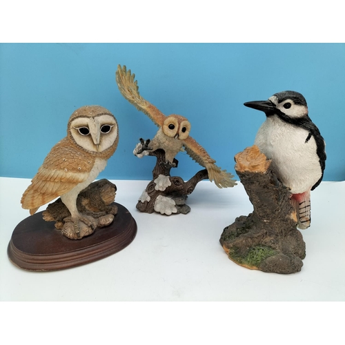 53 - Collection of Mixed Bird Figures. Tallest 22cm.