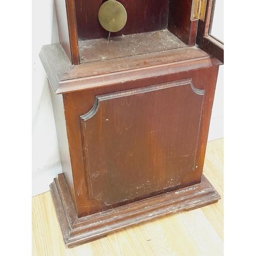 435 - Wooden Cased Grandmother Clock 'Tempus Fugit' with Pendulum (Not Correct to Clock) W/O. 178cm Tall. ... 