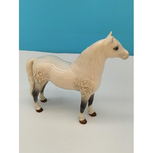 110 - Beswick Figure of a Welsh Mountain Pony. 16cm High x 18cm. Firing Crack to Back of Horse.