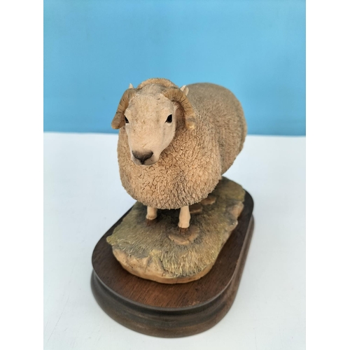 55 - Border Fine Arts Limited Edition 292/850 Figure of a Cheviot Ram on Wooden Base by R Ayres. 13cm Hig... 