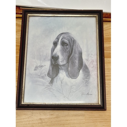 577 - Collection of Animal Themed Prints (5) to include Framed Bassett Hound Clock signed M.J.Sibley, Fram... 