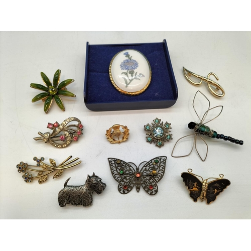 141 - Collection of Brooches (11) to include Aynsley Flower Brooch, etc.