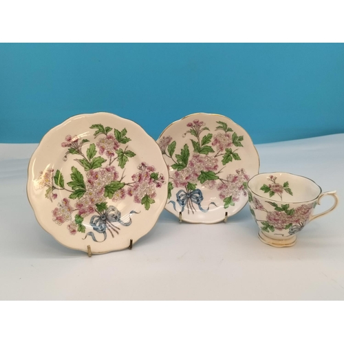 1 - 1950's Royal Albert Complete Set of 12 'Flower of The Month Series' Hand Painted Trios in the Counte... 