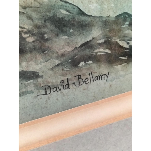 294 - Framed Original Landscape Watercolour by David Bellamy. Signed. 50cm x 38cm.