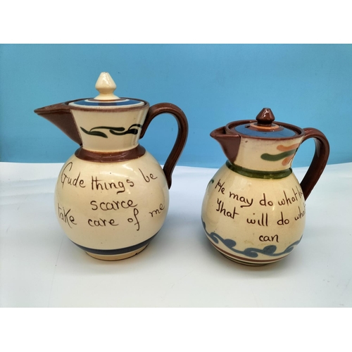 298 - Collection of Torquay Pottery Motto Ware (14) by Aller Vale, Longpark, Watcombe, etc  to include Jug... 