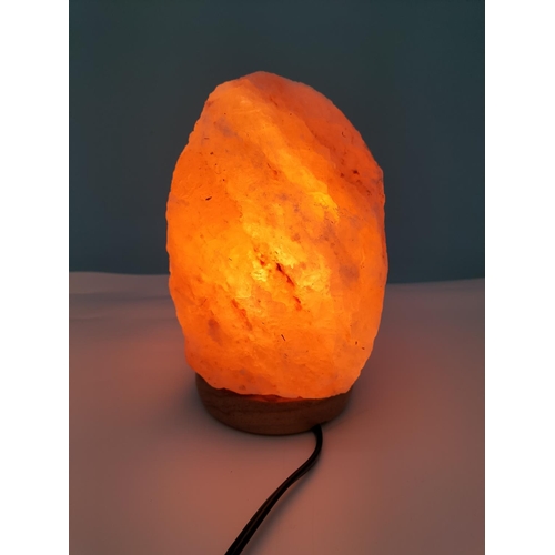 307 - Pink Himalayan Salt Lamp on Wooden Stand W/O. 20cm Tall.