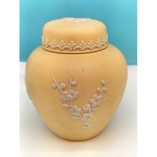 369 - Wedgwood Primrose/Yellow Jasper Prunus Pattern 10cm Ginger Jar.