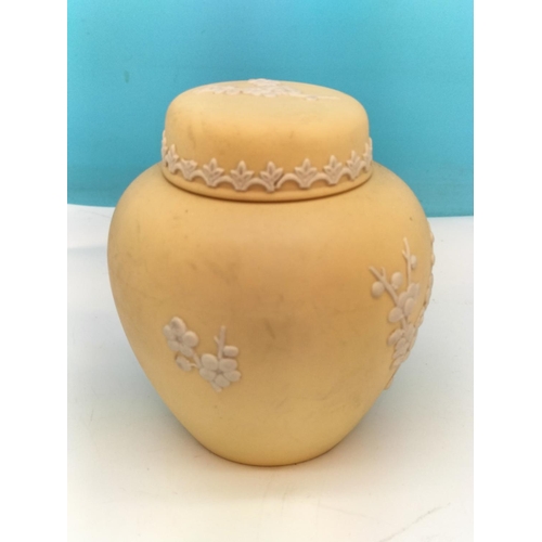 369 - Wedgwood Primrose/Yellow Jasper Prunus Pattern 10cm Ginger Jar.