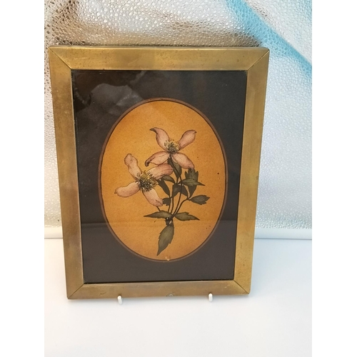 617 - c1920/1930 Brass Framed Watercolours of Flowers (4). 26.5cm x 20cm.