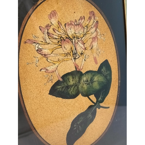 617 - c1920/1930 Brass Framed Watercolours of Flowers (4). 26.5cm x 20cm.