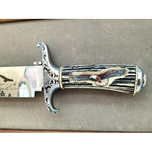 253 - Framed and Mounted Franklin Mint American Freedom Eagle Bowie Knife by Ronald Van Ruychevelt. Frame ... 