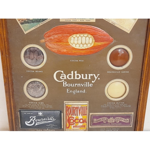 295 - Framed Cadburys Advertising Picture. 41cm x 53cm.