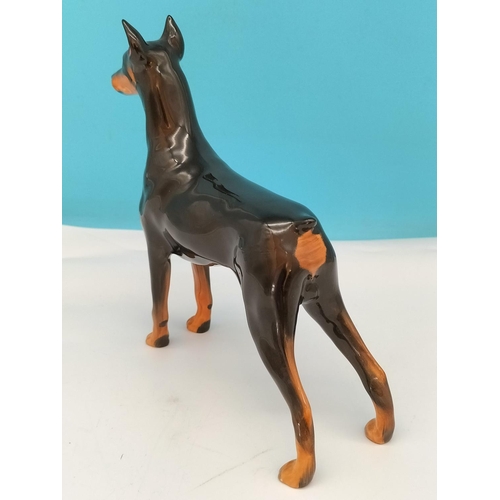 97 - Royal Doulton Doberman Pinscher Dog Figure 'Champion Roncho Dobe's Storm' HN 2645. 18cm x 16cm.