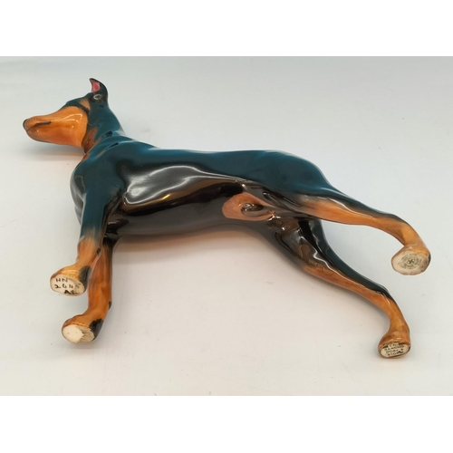 97 - Royal Doulton Doberman Pinscher Dog Figure 'Champion Roncho Dobe's Storm' HN 2645. 18cm x 16cm.